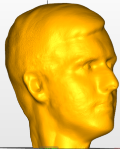 Zak 3D Printed Head Model